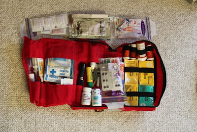 Medical bag one contains all the small first aid items and various pills for typical travel diseases. It goes on the top of the pack so it easy to get it.