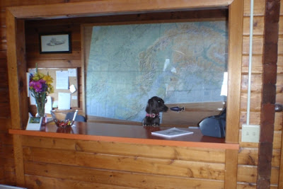 Annie the dog runs the reception desk at Alaska Airmen Headquarters.