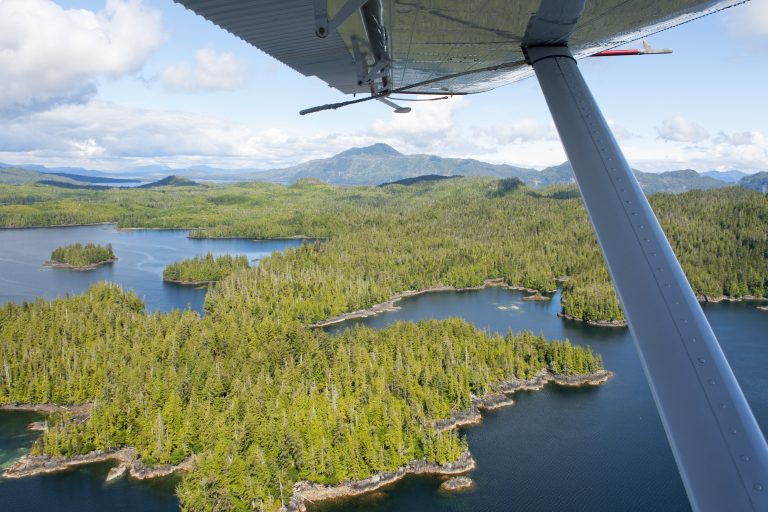 Alaska Prince of Wales island aerial view from floatplane