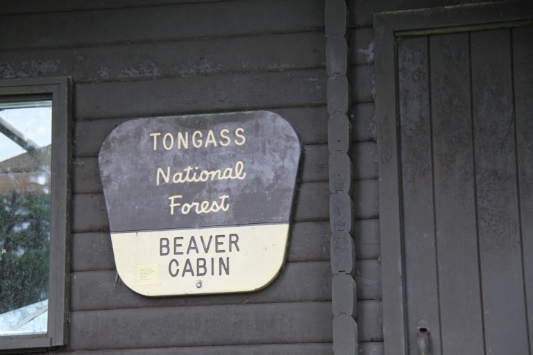 Tom Bass Beaver Camp (14)