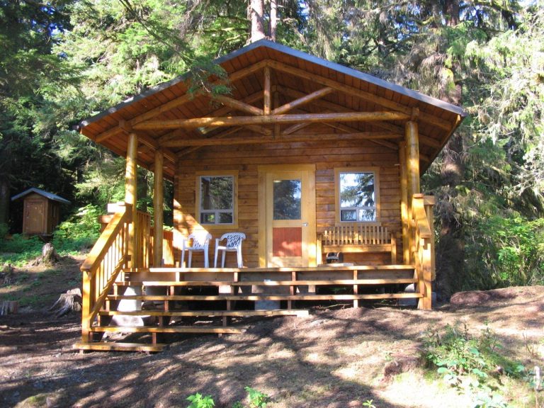 Kegan Cove cabin is a small wooden structure sitting in the sun at the edge of a hemlock stand Large