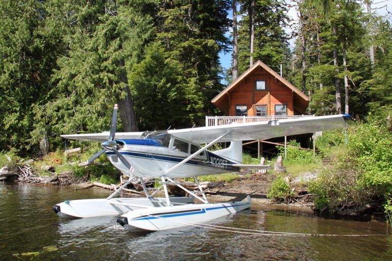 Cessna 180 N333FF beached in front of a cabin