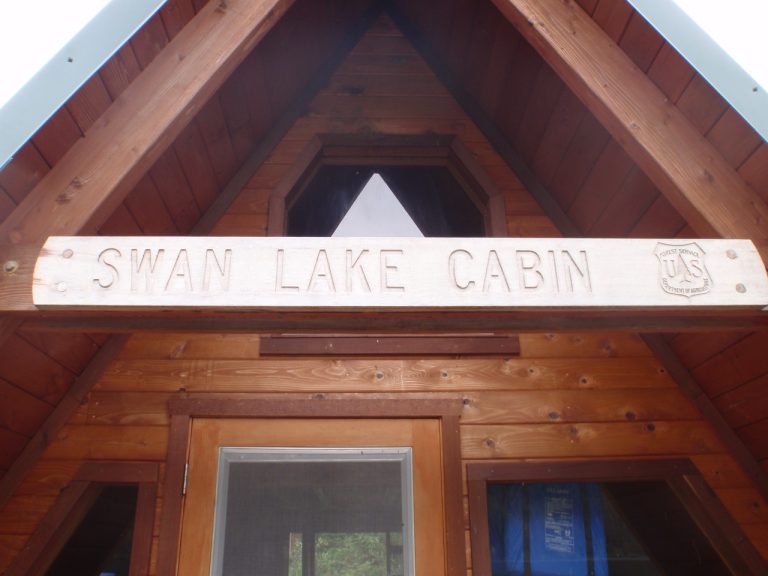 Swan lake (8) Large
